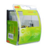 SET BOMBILLAS 12V LARGA DURACION H3