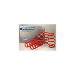 MUELLES DEPORTIVOS COBRA 00.6413.1