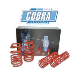 MUELLES DEPORTIVOS COBRA 68.9908
