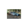 MUELLES DEPORTIVOS COBRA HAS810002
