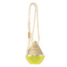 AMBIENTADOR DR. MARCUS WOOD LEMON