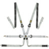 ARNÉS DE SEGURIDAD ONE-D 2" PULL DOWN FIA 8853-2016 NEGRO / BLANCO
