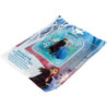 PROTECTOR ASIENTO FROZEN 2