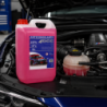 Anticongelante rosa 10% -4ºC 5 litros | OCC Sport