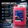 Anticongelante rosa g12 50% 5 litros | OCC Sport