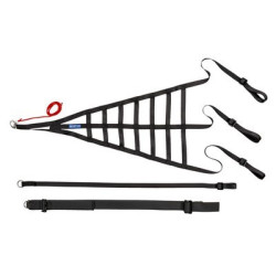RED DE SEGURIDAD PARA VENTANILLA SPARCO FIA