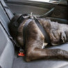 ARNES PARA PERRO TALLA L CS12