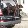 PINTURA PROTECTION LAMINA TRUNK SILL, TRANSPARENTE 9,5 X 120 CM, 1 PIECE