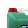 Anticongelante verde 30% -16ºC 5 litros | OCC Sport