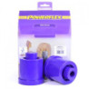 TRASERO BEAM MONTAJE SILENTBLOCK